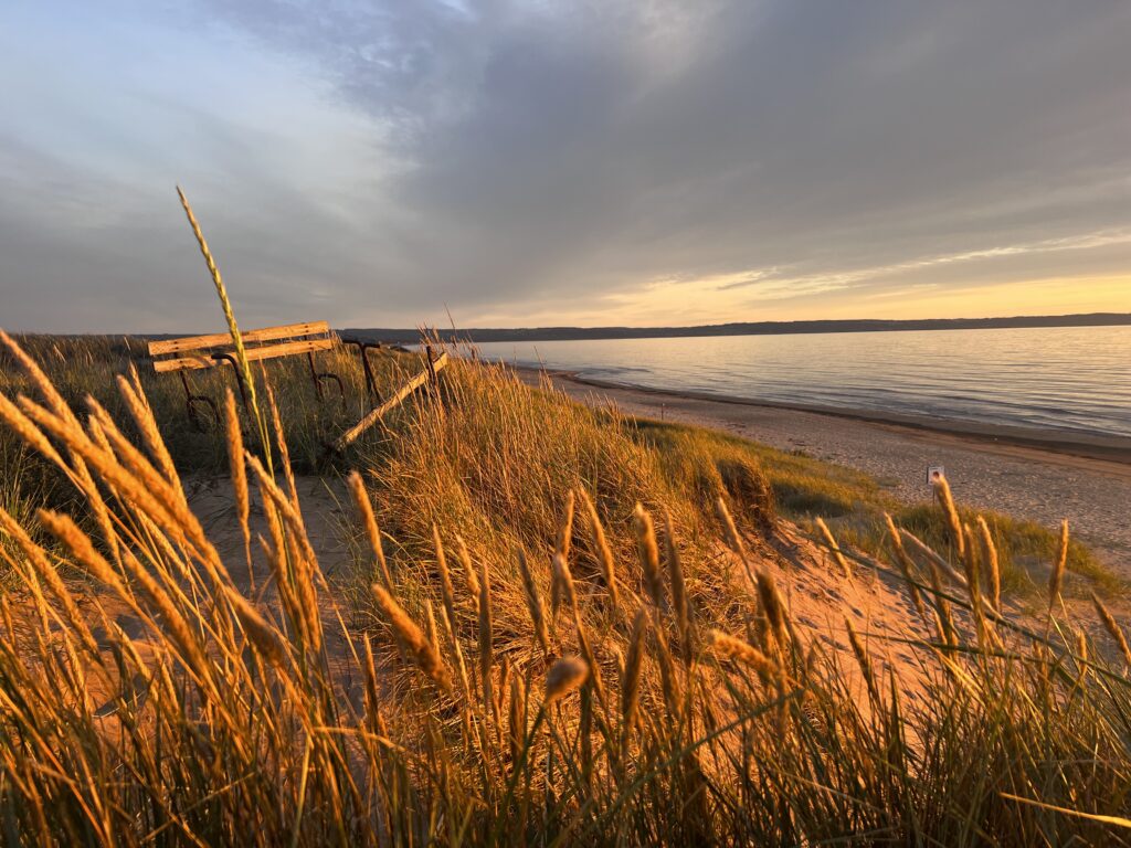 beach in mellbystrand with the sunset bench on the photo