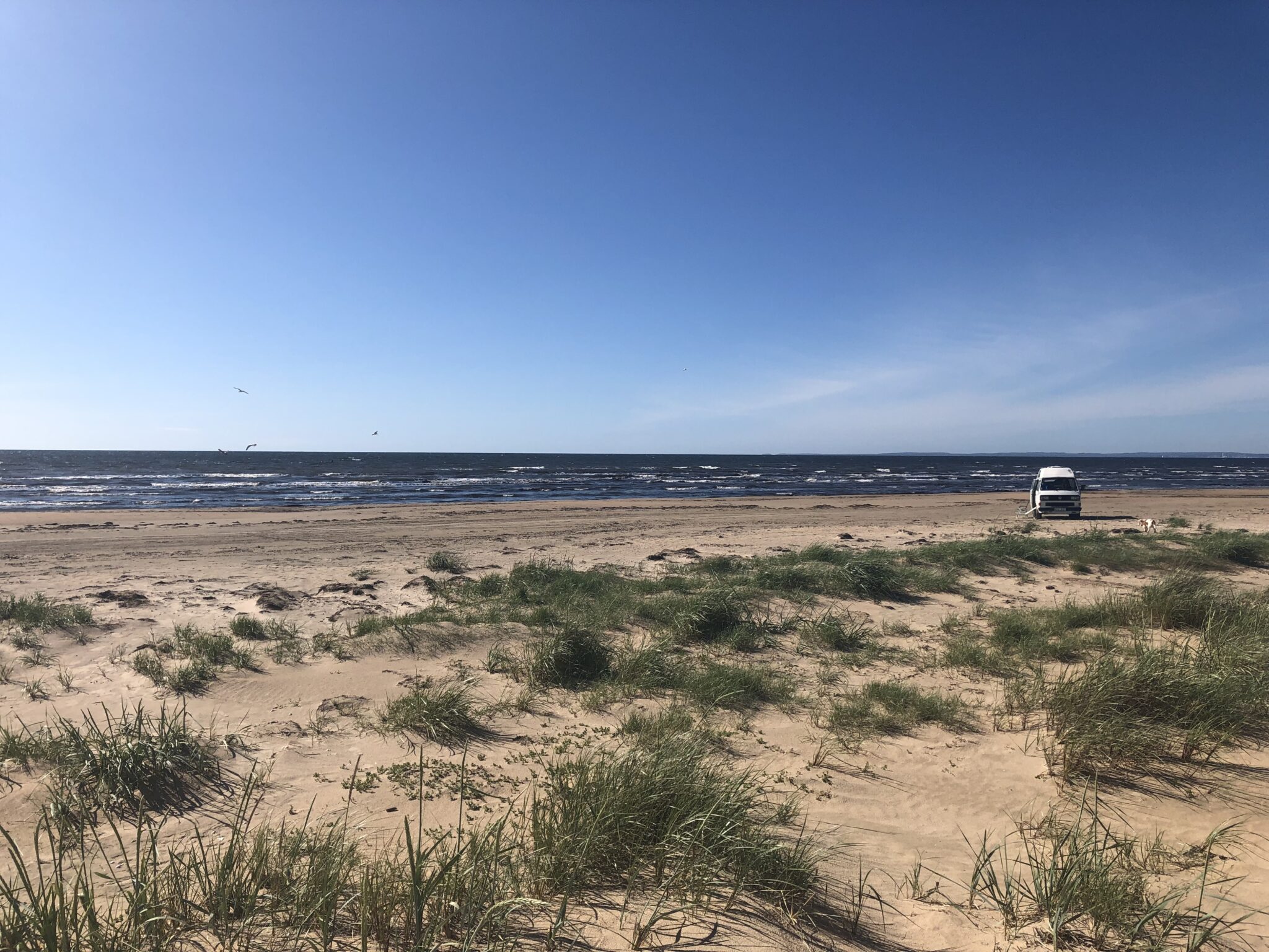 destination-mellbystrand-explore-the-longest-beach-in-sweden